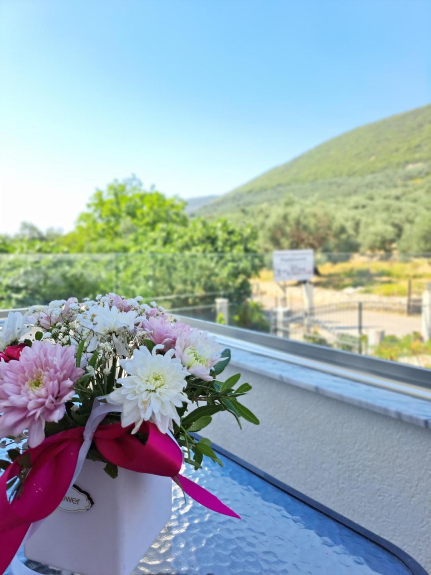 Apartments Pepdjonovic Ulcinj Luaran gambar